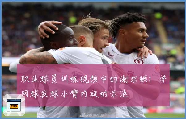 职业球员训练视频中的谢尔顿：学网球发球小臂内旋的示范